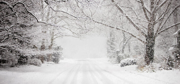 Services Cancelled Today, January 25th 2026